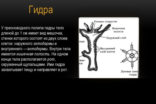 Где взять ссылку кракена