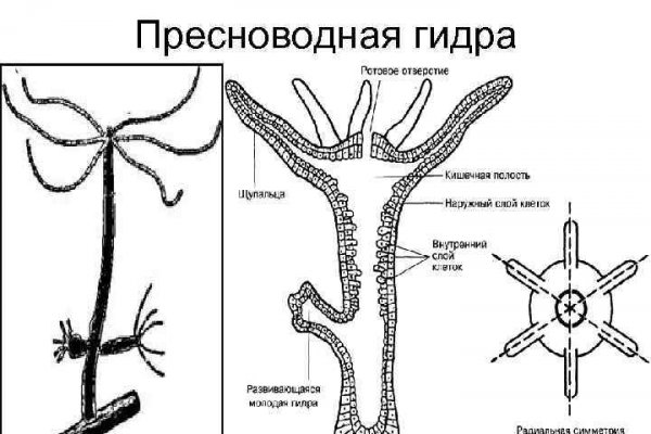 Tor зеркала