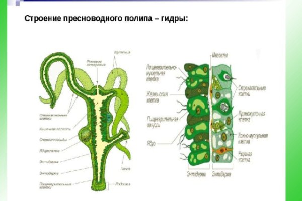 Что с кракеном сайт