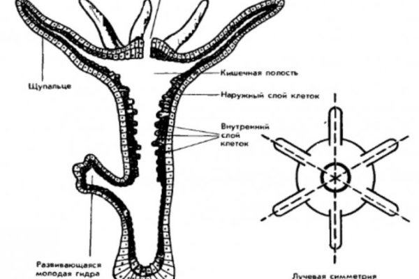 Кракен ссылка vtor